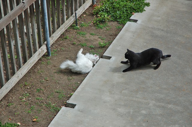 ghostofmrssmith_1967_100