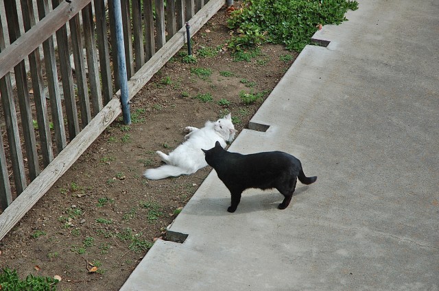 ghostofmrssmith_1971_100