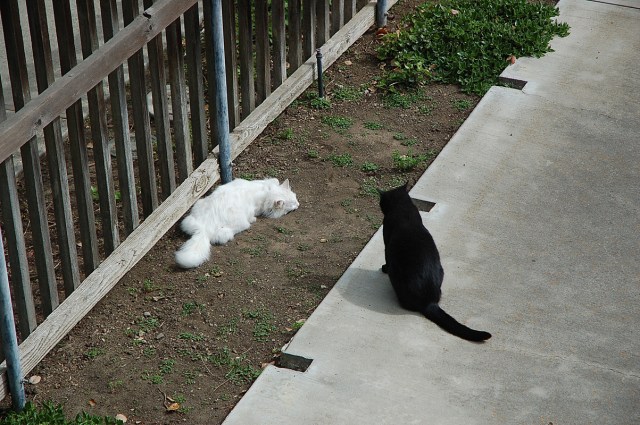 ghostofmrssmith_1979_100