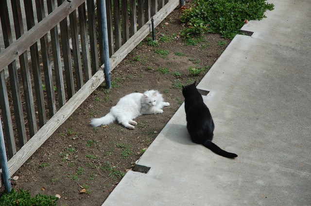 ghostofmrssmith_1984_100