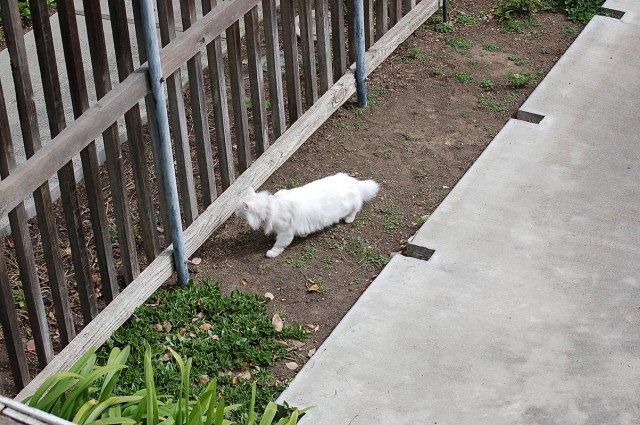 ghostofmrssmith_1998_100