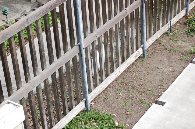 ghostofmrssmith_2001_100