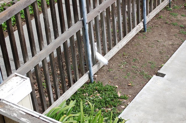 ghostsofmrssmith_2000_100