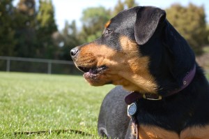 HeyIsThatAxel_032213_100