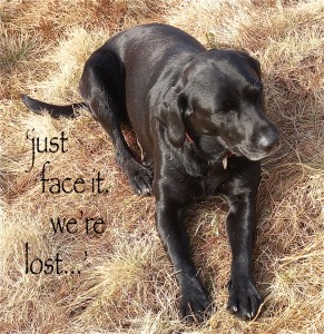 32 justfaceitwe'relost_100_text