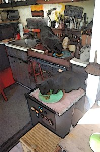 anothercatffeedingphoto