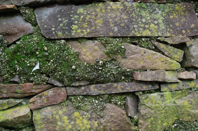 "Cement" Holding Tigh Calan Together