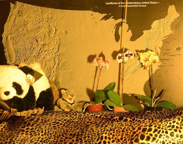 ContirminousLandforms