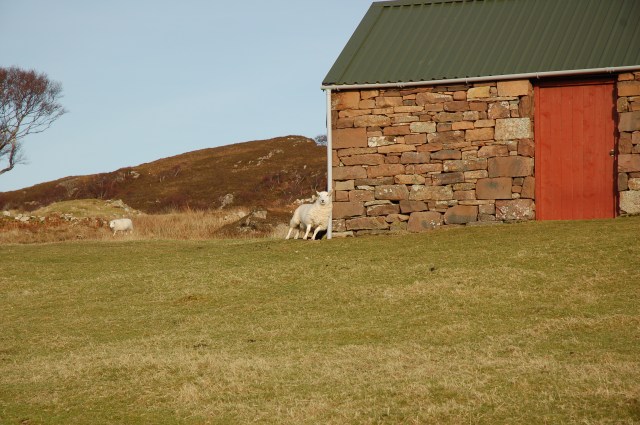 Holding Up the House_Coillieghillie_Winter 2012