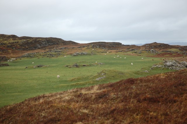 Ard Ban / "White Point" that I call Ross