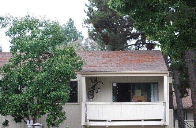 Home1stWinterDay_2014