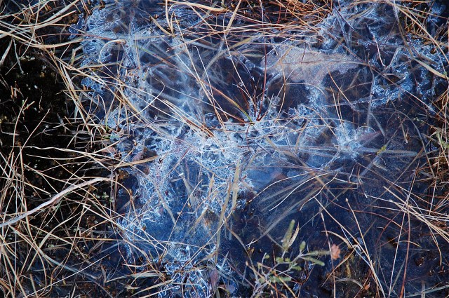 Ice on Ground_January 2012_Above Village of Coillieghillie
