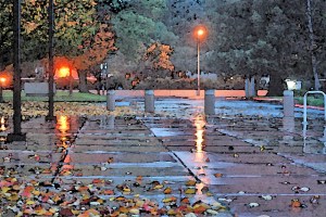 lightrain0700_120314_wc